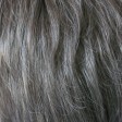 Smoke Grey